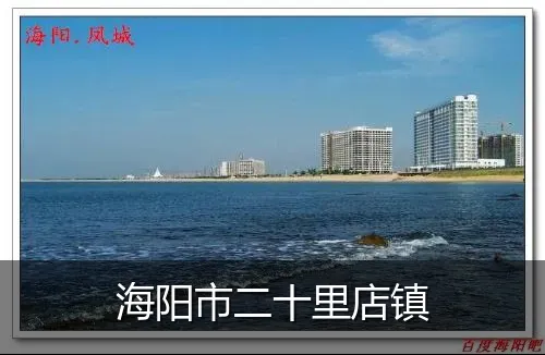 海阳市二十里店镇