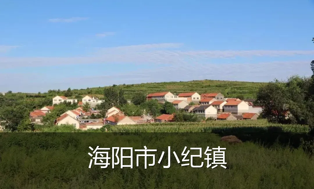 海阳市小纪镇
